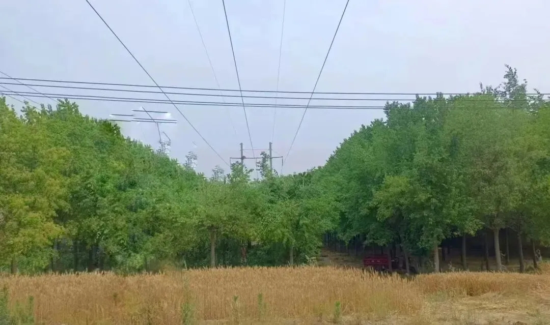 640.webp.jpg